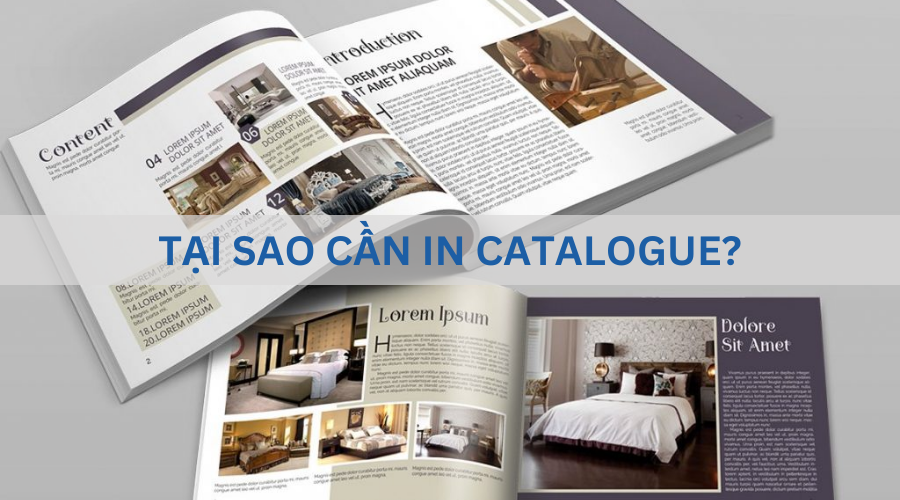 Tại sao cần in Catalogue?