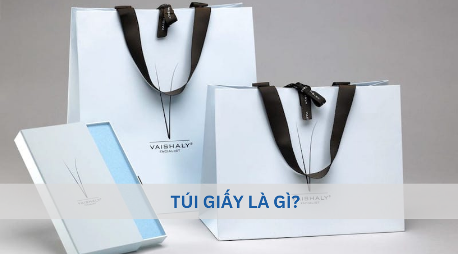 Túi giấy là gì?